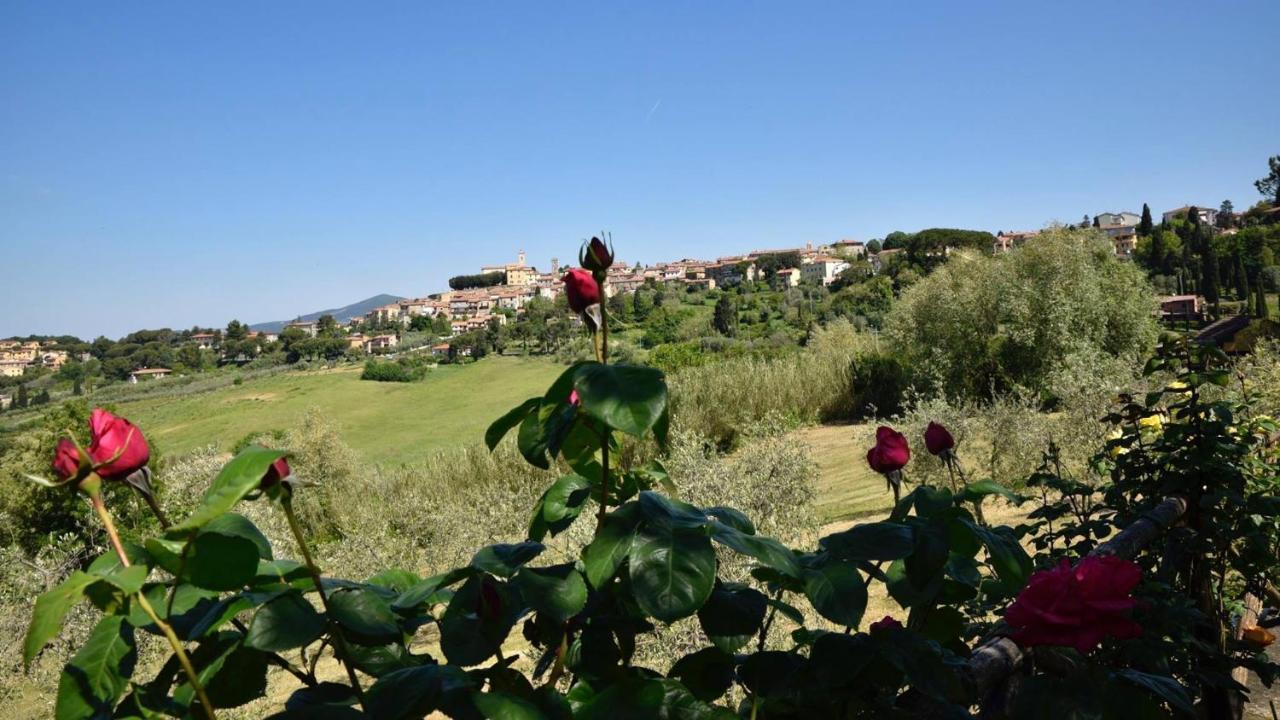 Case&Colline Buonriposo Montescudaio Exterior foto