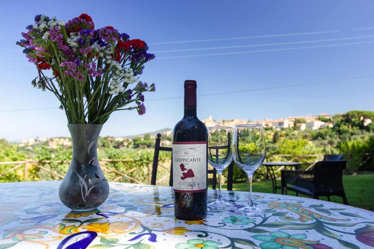 Case&Colline Buonriposo Montescudaio Exterior foto